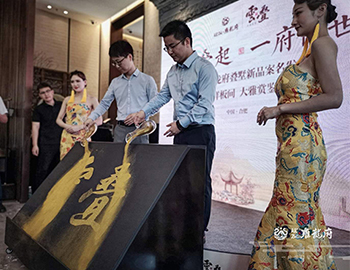 【建發(fā)·雍龍府】萬象城旁，6米層高疊墅驗資首日人氣完爆世界杯開幕式?。?！ 